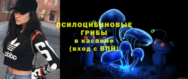 ешки Нефтегорск