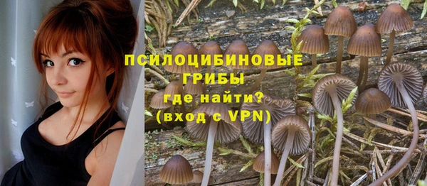 ешки Нефтегорск