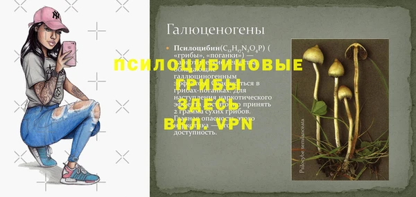 прущий лед Нея