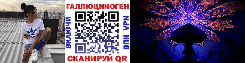 Галлюциногенные грибы Psilocybe Островной