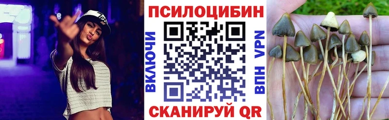 Псилоцибиновые грибы GOLDEN TEACHER  Островной 