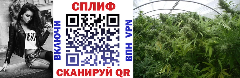 Бошки Шишки план Островной